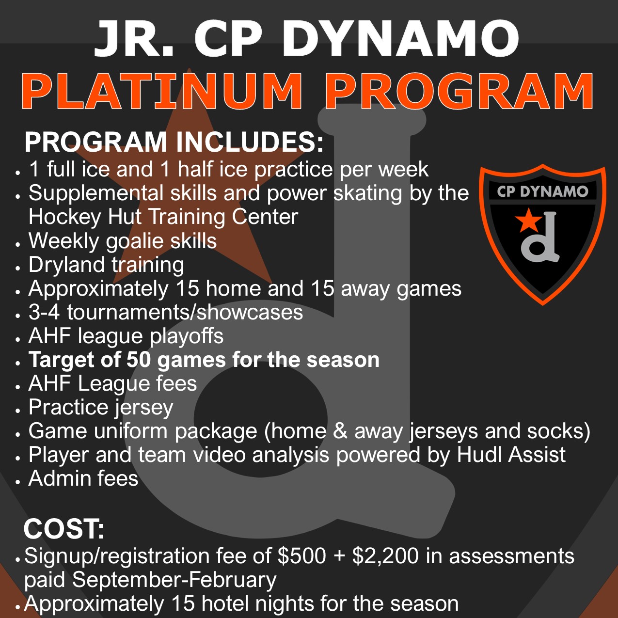 platinum dynamo program info